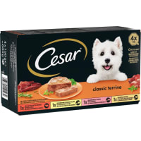 Classic Terrine Hundmat Våt 4-pack