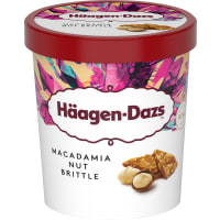 Macadamia Nut Brittle Glass