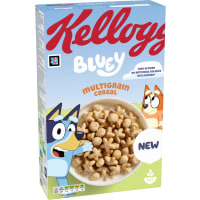 Flingor Bluey