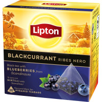 Blackcurrant Pyramid Tea Bags Svart Te
