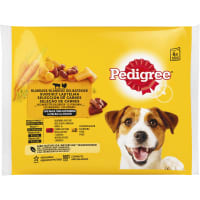 Delikatesser i Sås Adult Hundmat 4x100g