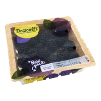 Björnbär Klass 1