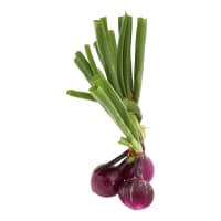 Lök Röd i Knippe Klass 1