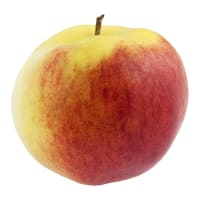 Äpple Santana Klass 1