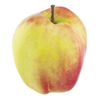 Äpple Gloster Klass 1