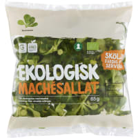 Mache Sallad Eko Klass 1