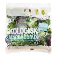 Småbladsmix Ruccola Röd/grön Klass 1