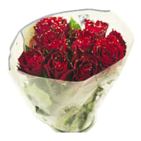 Rosor Röda med Glitter