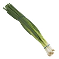 Salladslök Knippe