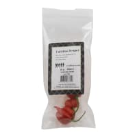 Chili Carolina Reaper