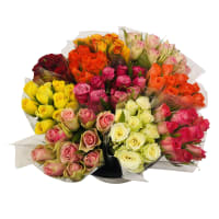 Rosor Ros 10- Pack Korta