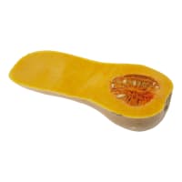 Spanien Delad pumpa Butternut