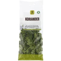 Koriander Klass 1