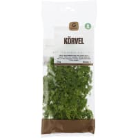 Körvel Klass 1