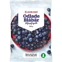 Odlade Blåbär Frysta