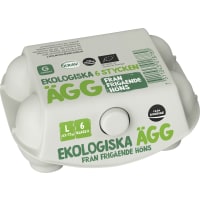 Ägg 6p Frigående Large Eko