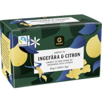 Ingefära Citro Te