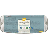 Ägg 12p Frigående Utomhus Medium/large