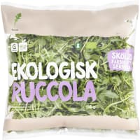 Ruccola Ekologisk Klass 1