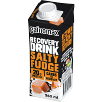 Gainomax Salty Fudge Recovery Drink