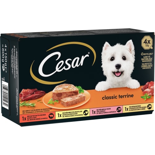 Classic Terrine Hundmat Våt 4-pack