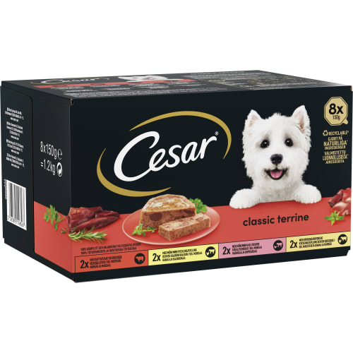 Classic Terrine Hundmat Våt 8-pack