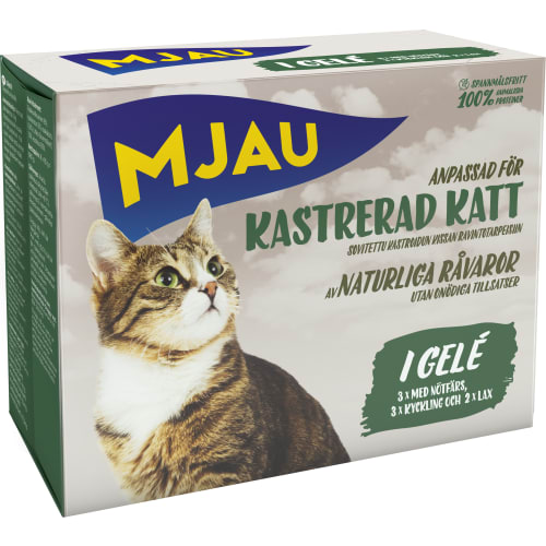 Kastrerad Katt Nötfärs/kyckling/lax Kattmat Gelé 8-pack
