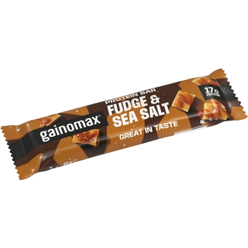 Fudge Sea Salt Proteinbar