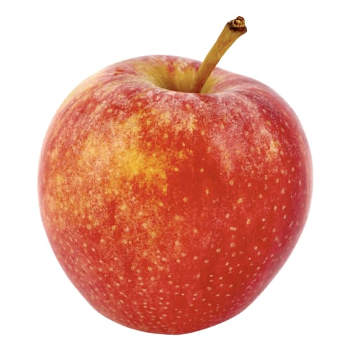 Äpple Royal Gala Eko Klass 1