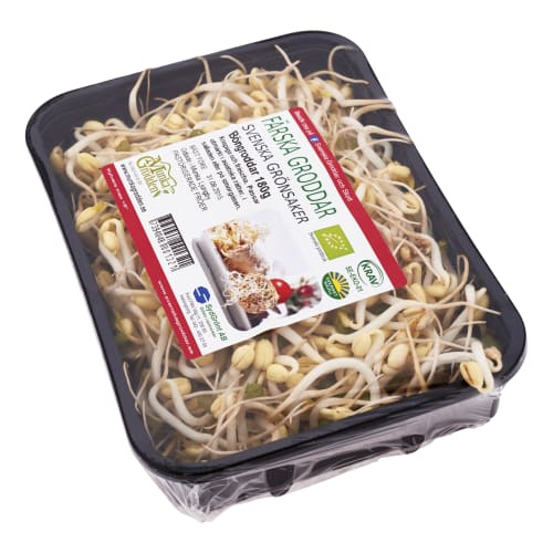 Böngroddar Ekologisk