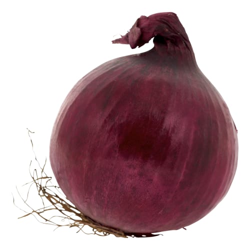 Lök Röd Klass 1