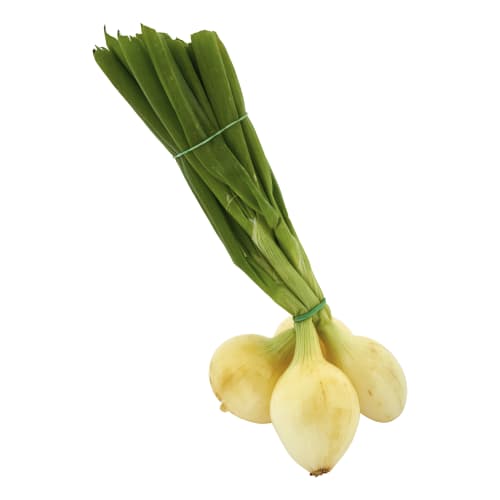 Lök Gul Knippe Klass 1