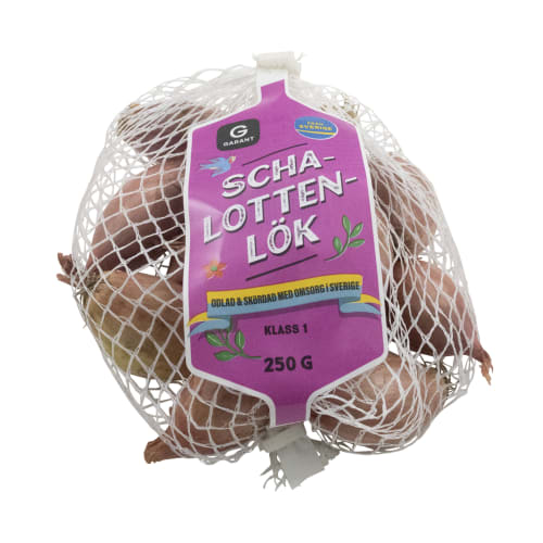 Lök Schalotten Klass 1