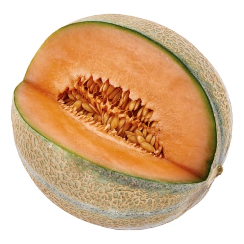 Melon Cantaloupe