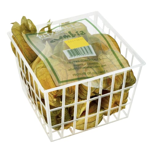 Physalis