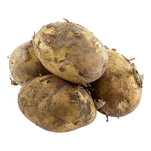 Färskpotatis Otvättad Klass 1