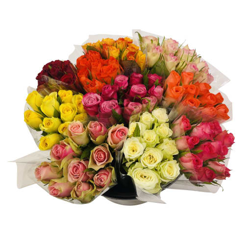 Rosor Ros 10- Pack Korta