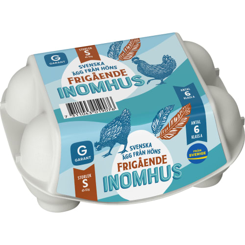 Ägg 6p Frigående Inomhus Small